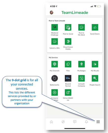 LimeadeONE.UX5.png